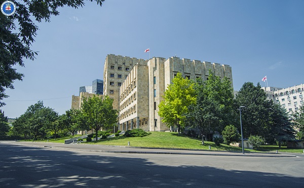 მცირეწლოვანის მიმართ ძალადობის ფაქტზე ძიძას ბრალდება წარედგინა