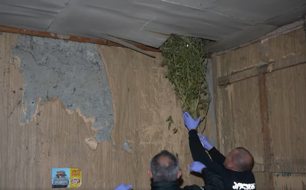 სამეგრელოს პოლიციამ განსაკუთრებით დიდი ოდენობით ნარკოტიკი ამოიღო