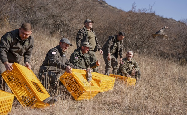 ტანას აღკვეთილში, დაცული ტერიტორიების სააგენტოს სპეციალისტებმა 200 ფრთა კაკაბი ველურ ბუნებაში გაუშვეს