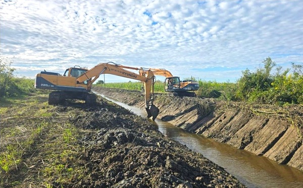 სენაკის მუნიციპალიტეტში სადრენაჟე არხების გაწმენდითი სამუშაოები მიმდინარეობს