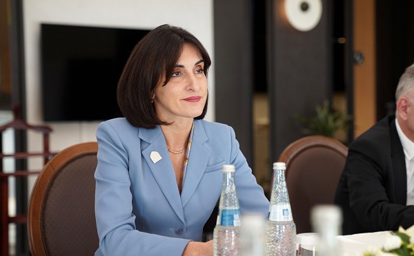 უკრაინას საქართველოს მხრიდან მხარდაჭერა ყოველთვის აქვს - მაკა ბოჭორიშვილი