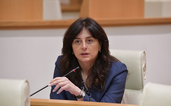 ჩვენ, ვინც სააკაშვილის დროს საჯარო სამსახურში ვიყავით, კარგად გვახსოვს როგორ გვერეკებოდნენ პრაქტიკულად „ნახირივით“ „ნაციონალური მოძრაობის“ მიტინგებზე და თუ ვინმე არ წავიდოდა, როგორი რეპრესიები მიემართებოდა - მაია ბითაძე