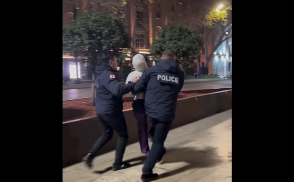 პარლამენტთან აქციის ერთი მონაწილე დააკავეს