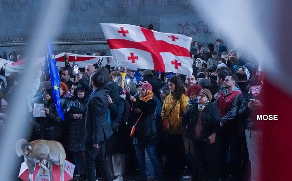 პოლიციამ საპროტესტო აქციის რამდენიმე მონაწილე დააკავა