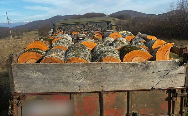 ყვარელის, საგარეჯოს, თელავის, ლაგოდეხის, ახმეტის, თიანეთის, დუშეთის, ბორჯომის, შუახევის, ხულოსა და ქობულეთის მუნიციპალიტეტებში უკანონო ტყითსარგებლობის 14 ფაქტი გამოვლინდა
