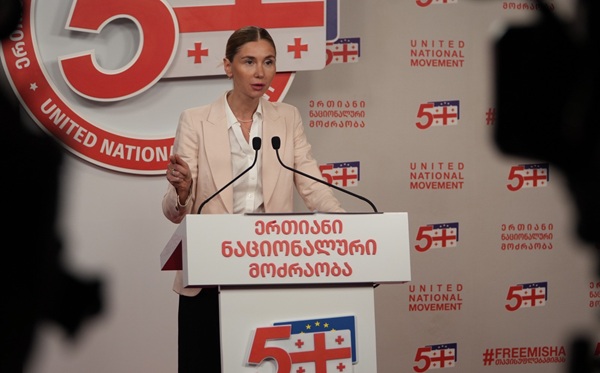 აშშ-ის წარმომადგენლებთან ერთსაათიანი შეხვედრიდან 45 წუთი კობახიძე სწორედ 607 მილიონ დოლარზე საუბრობდა, რომლის დაბრუნებაც ივანიშვილისთვის უმთავრესი ამოცანაა - თინა ბოკუჩავა