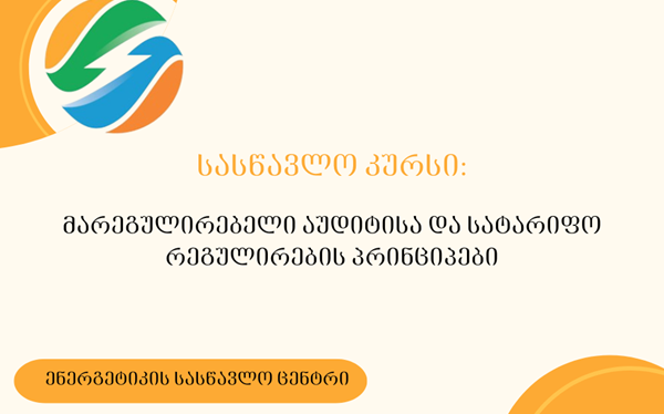 ენერგეტიკის სასწავლო ცენტრში მარეგულირებელი აუდიტის შესახებ სასწავლო კურსი მიმდინარეობს