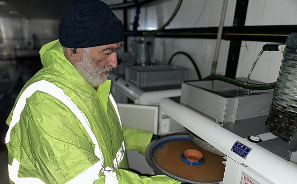 „წითელი ნუსხის“  სახეობა ნაკადულის კალმახის საშენ მეურნეობაში ქვირითობის სეზონი დაიწყო