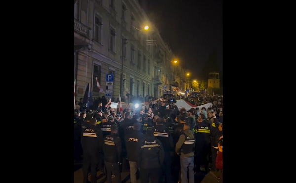 აქციის მონაწილეები მსვლელობას მართავენ