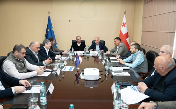 ახალი, რეგიონული არასახიფათო ნარჩენების განთავსების ობიექტების მშენებლობისთვის ტერიტორიების შერჩევის საკითხზე მორიგი სამუშაო შეხვედრა ქალაქ თელავში გაიმართა