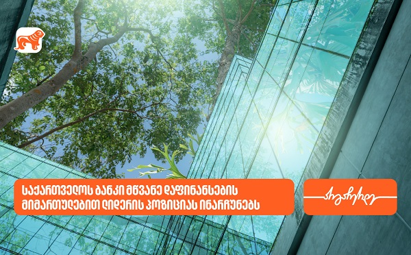 ეროვნული ბანკი: საქართველოს ბანკი მწვანე დაფინანსების მიმართულებით ლიდერის პოზიციას ინარჩუნებს