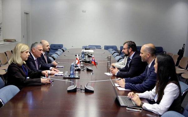 პაატა სალია იუსტიციის საკითხებში სლოვაკეთის სახელმწიფო მდივანს შეხვდა