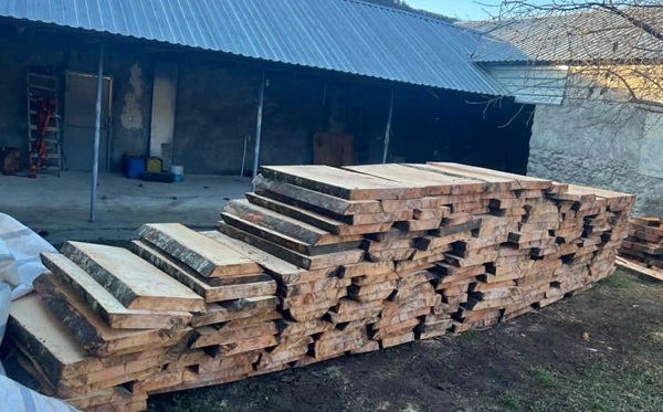 გარემოსდაცვითი ზედამხედველობის დეპარტამენტმა პანკისში უკანონო სახერხი საამქრო გამოავლინა