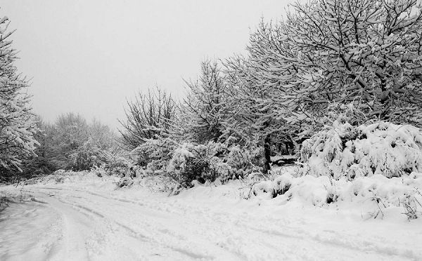 საირმე-აბასთუმნის და წყალთაშუა-ზეკარის გზების მონაკვეთებზე ავტოტრანსპორტის მოძრაობა აკრძალულია