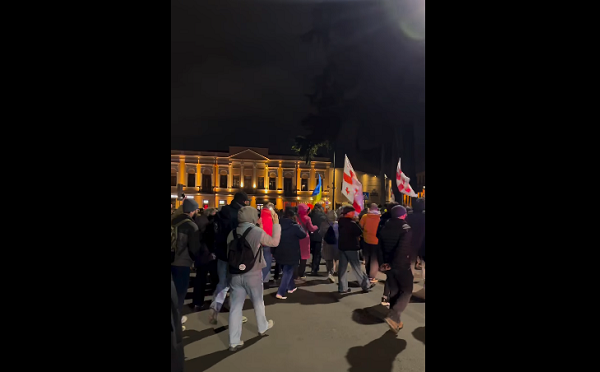 აქციის მონაწილეები მსვლელობას მართავენ