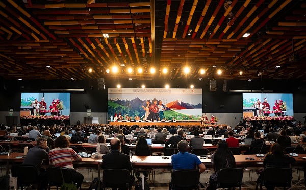 საქართველოს დელეგაცია გაეროს სურსათისა და სოფლის მეურნეობის საერთაშორისო ხელშეკრულების  მმართველი საბჭოს სესიის მუშაობაში  მონაწილეობდ