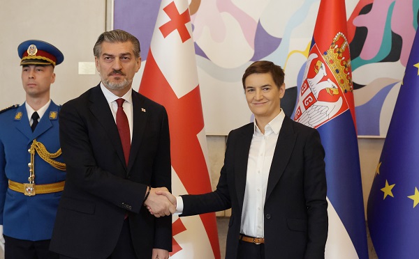 მიხეილ ყაველაშვილი, სერბეთის რესპუბლიკის ეროვნული კრების თავმჯდომარეს, ანა ბრნაბიჩს შეხვდა