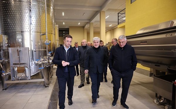 დავით სონღულაშვილი ქედაში ყურძნის გადამმუშავებელ საწარმოში იმყოფებოდა