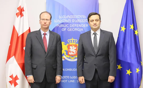 სახალხო დამცველი საქართველოში აშშ-ს ელჩის დროებით მოვალეობის შემსრულებელს შეხვდა