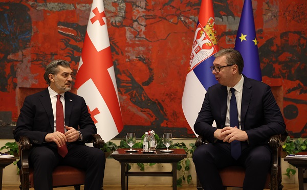 მიხეილ ყაველაშვილმა ალექსანდარ ვუჩიჩთან პირისპირ შეხვედრა გამართა