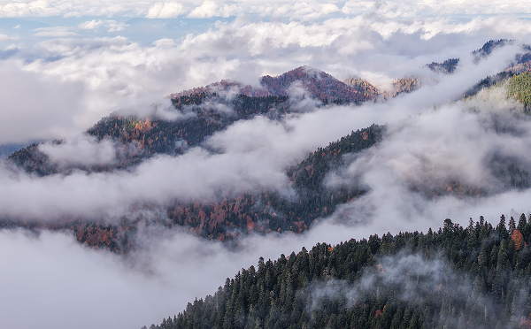 „საირმეს რეკრეაციული ფერმა“ ნიკა ლებანიძის ობიექტივში