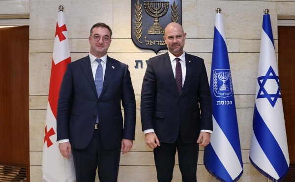 დავით სონღულაშვილი ისრაელის ქნესეთის თავმჯდომარეს შეხვდა