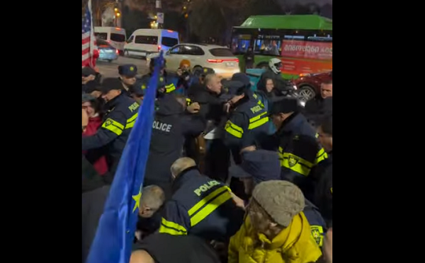 პოლიციამ პარლამენტთან აქტივისტი ისაკო დევიძე დააკავა