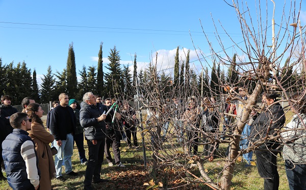 ტექნიკური უნივერსიტეტის სტუდენტები სოფლის მეურნეობის სამეცნიერო-კვლევითი ცენტრის სამუშაო პროცესს გაეცნენ