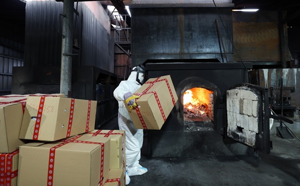 შსს-მ 926 კილოგრამი ნარკოტიკული საშუალებები გაანადგურა