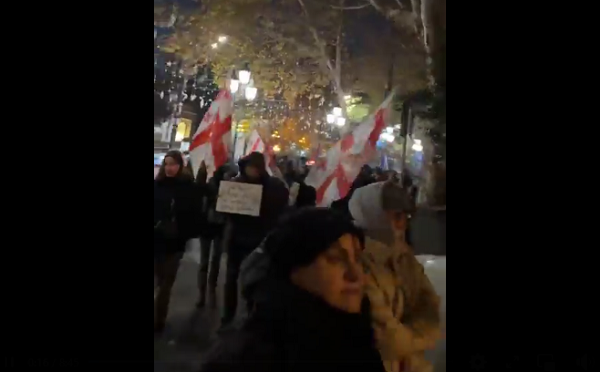 აქციის მონაწილეები მსვლელობას მართავენ