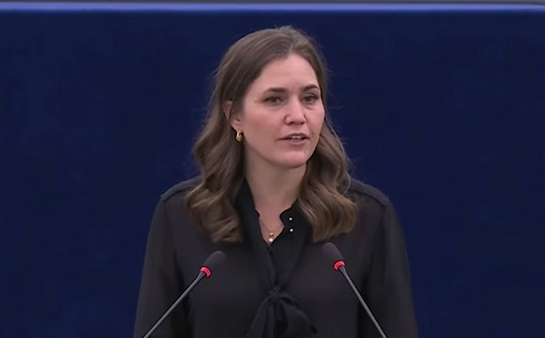 საქართველომ სერიოზული დემოკრატიული უკუსვლა აჩვენა, ქვეყნის ევროკავშირში გაწევრიანების პროცესი რეალურად გაჩერებულია და ასე იქნება, ვიდრე მთავრობა არ გამოაჩენს მტკიცე მზაობას, დაუბრუნდეს გაწევრიანების გზას - ევროპარლამენტარი