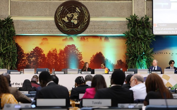 ნინო თანდილაშვილი გაეროს გარემოსდაცვითი ასამბლეის მერვე სესიის (UNEA-8) ვიცე-პრეზიდენტად, აღმოსავლეთ ევროპის ქვეყნების წარმომადგენლად მეორე ვადით აირჩიეს