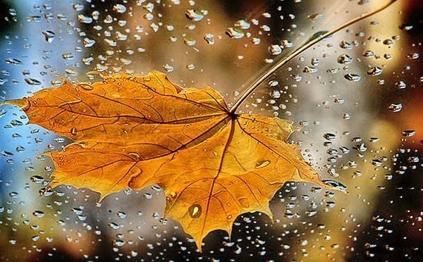 16-17 დეკემბერს საქართველოში ზოგან იწვიმებს, 18 დეკემბერს კი უმეტესად უნალექო ამინდი იქნება