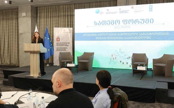 ნინო თანდილაშვილმა სათემო ფორუმს „კლიმატის ცვლილებით გამოწვეული კატასტროფების რისკის შემცირება საქართველოში“დაესწრო