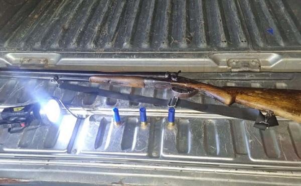 ნადირობის სეზონის განმავლობაში, 720 სამართალდარღვევა გამოვლინდა