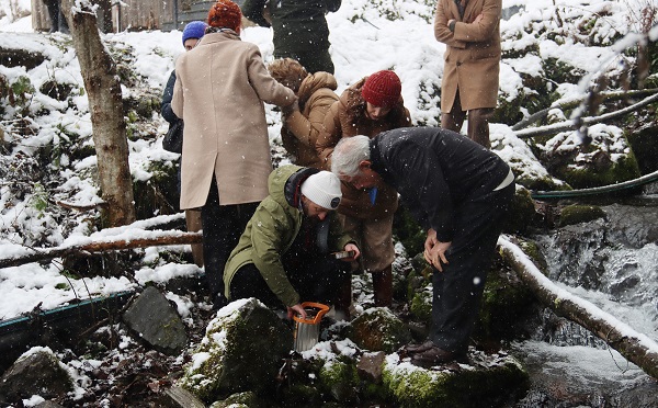 საირმეში, მდინარე წაბლარის შენაკადები ნაკადულის კალმახის ქვირითით დათევზიანდა