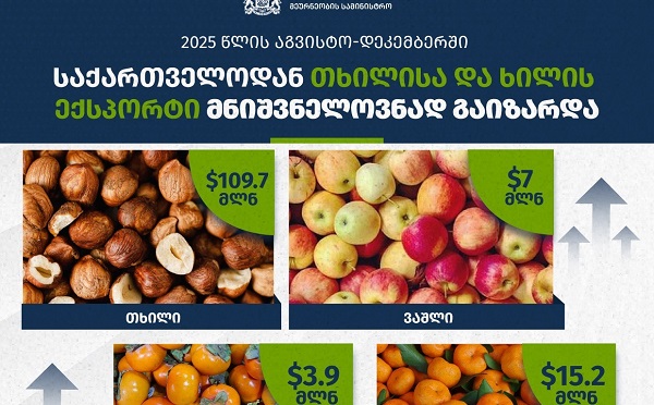 2025 წლის აგვისტო-დეკემბერში საქართველოდან თხილისა და ხილის ექსპორტი მნიშვნელოვნად გაიზარდა