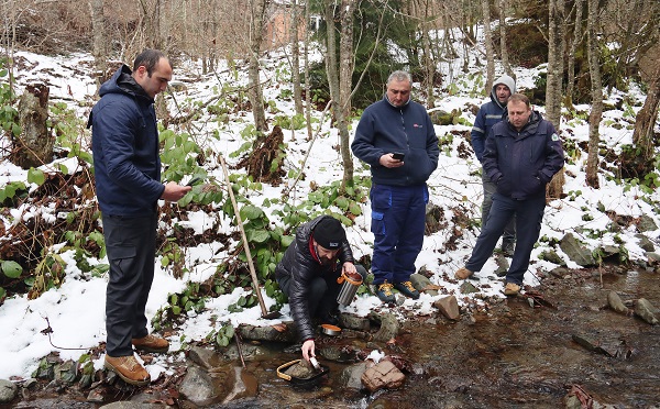 სვანეთში, მდინარე ენგურის შენაკადები ნაკადულის კალმახის ქვირითით დათევზიანდა
