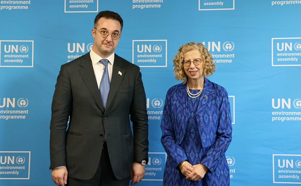 დავით სონღულაშვილი UNEP-ის აღმასრულებელ დირექტორს, ინგერ ანდერსენს შეხვდა