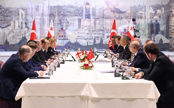 გეკა გელაძემ, თურქეთის რესპუბლიკის შინაგან საქმეთა მინისტრ ალი იერლიქაიასთან შეხვედრა გამართა