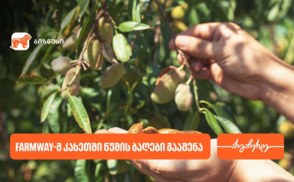 კომპანია Farmway-მ კახეთში ნუშის ბაღები გააშენა - მხარდამჭერი საქართველოს ბანკია