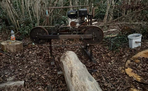 იმერეთში უკანონო სახერხი საამქრო გამოავლინეს