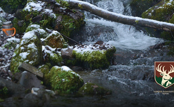 საირმეში დათევზიანების მეორე ეტაპი დასრულდა - მდინარე წაბლარასწყალში წითელწინწკლებიანი კალმახის ქვირითი გაუშვეს