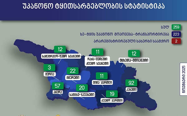 ნოემბერში უკანონო ტყითსარგებლობის 259 ფაქტი გამოვლინდა