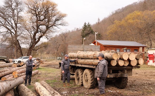 ბაკურიანი-წაღვერის სატყეო უბნის ტერიტორიაზე ხე-ტყის უკანონო მოპოვებისა და ტრანსპორტირების ფაქტი გამოვლინდა   