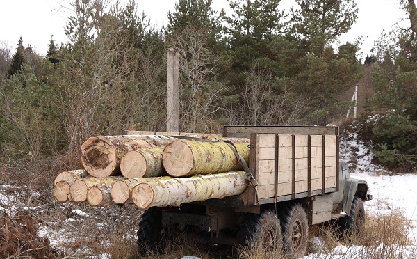 ბაკურიანში ხე-ტყის უკანონო მოპოვებისა და ტრანსპორტირების ფაქტი გამოვლინდა
