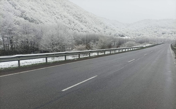 ახალქალაქი-კარწახისა და ახალციხე-ნინოწმინდის გზებზე მისაბმელიანი და ნახევრადმისაბმელიანი ავტოტრანსპორტის მოძრაობა აღდგა