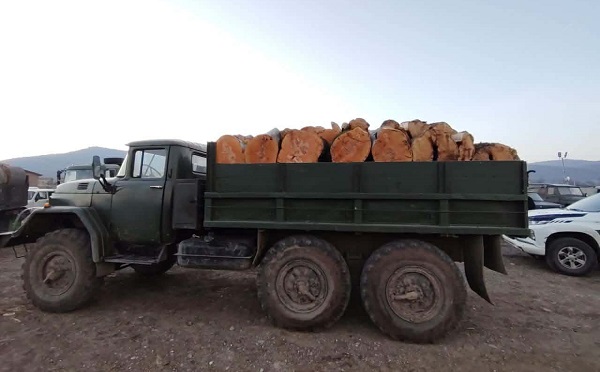 ქვემო ქართლში ხე-ტყის უკანონო მოპოვებისა და ტრანსპორტირების ფაქტები გამოვლინდა