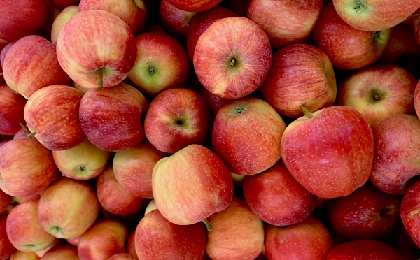 საქართველოდან ექსპორტირებულია 7.3 მლნ აშშ დოლარის ღირებულების 10.0 ათასი ტონა ვაშლი