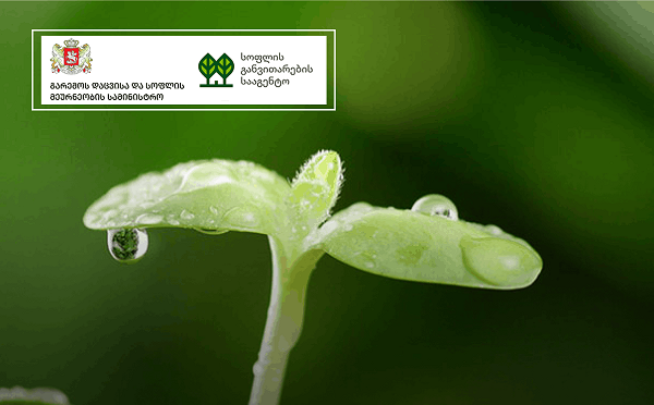 მრავალწლოვანი ბაღების გაშენებით დაინტერესებულ ფერმერებს პროგრამაში „დანერგე მომავალი“ მონაწილეობისთვის განაცხადების წარდგენა სოფლის განვითარების სააგენტოში  მიმდინარე წლის 28 თებერვლის ჩათვლით შეუძლიათ